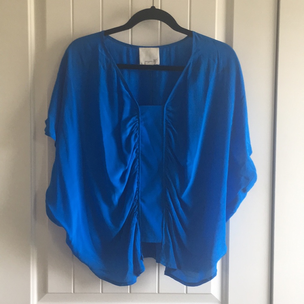 Blue boutique top
